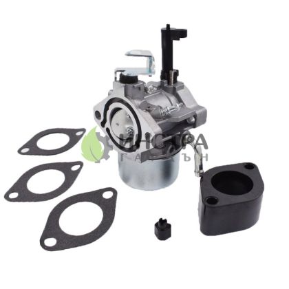 КАРБУРАТОР B&S 13 КС 715783, 715525, 715494, 715390 - 5208372
