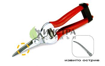НОЖИЦА ЗА БРАНЕ НА ГРОЗДЕ 19СМ - 633