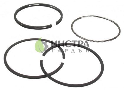 СЕГМЕНТИ К-Т STD D68.33MM B&S 493261 - 36-026
