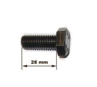БОЛТ М10Х25, 311.12219 - 31112219 31112219
