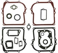 ГАРНИТУРИ К-Т+СЕМЕРИНГИ  B&S 3/3.5КС 298989 - B31583