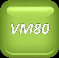 СЕГМЕНТИ К-Т D45MM (2БР) WACKER VM80 - 51448