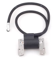 БОБИНА B&S 8КС 398811, 395492, 398265 - 33-344 33-344